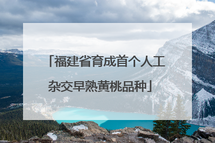 福建省育成首个人工杂交早熟黄桃品种