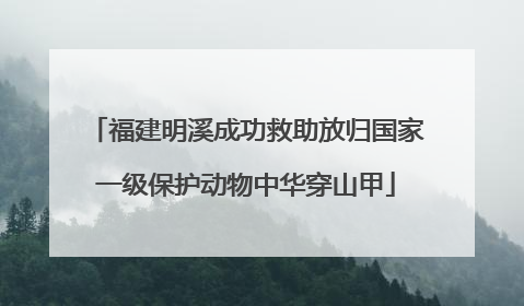 福建明溪成功救助放归国家一级保护动物中华穿山甲