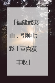 福建武夷山：引种七彩土豆喜获丰收