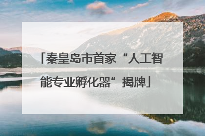 秦皇岛市首家“人工智能专业孵化器”揭牌