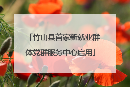 竹山县首家新就业群体党群服务中心启用