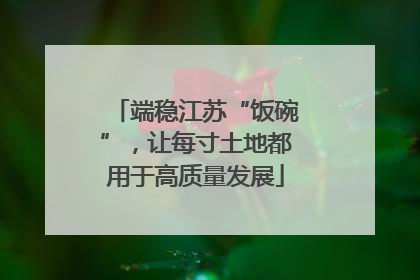 端稳江苏“饭碗”，让每寸土地都用于高质量发展