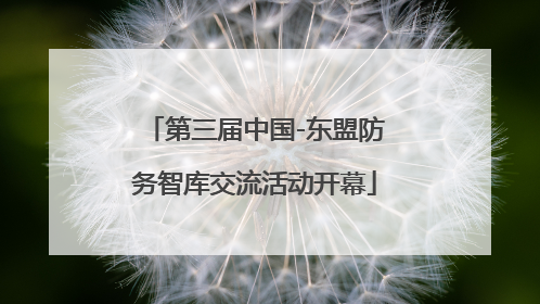 第三届中国-东盟防务智库交流活动开幕