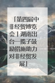 第四届中非经贸博览会丨湖南出台一揽子鼓励措施助力对非经贸发展