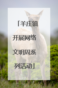 羊庄镇开展网络文明周系列活动