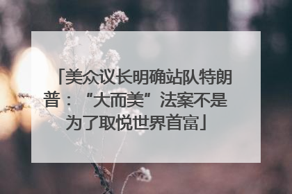 美众议长明确站队特朗普：“大而美”法案不是为了取悦世界首富
