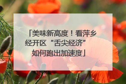 美味新高度！看萍乡经开区“舌尖经济” 如何跑出加速度