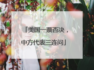 美国一票否决，中方代表三连问