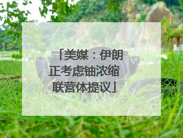 美媒：伊朗正考虑铀浓缩联营体提议