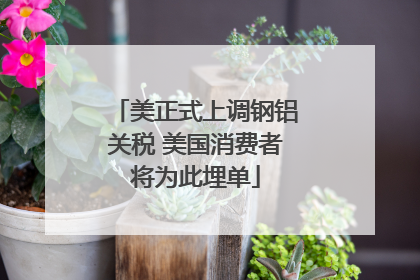 美正式上调钢铝关税 美国消费者将为此埋单