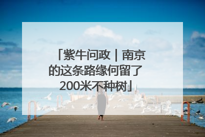 紫牛问政｜南京的这条路缘何留了200米不种树