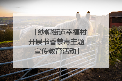 纱帽街道幸福村开展书香禁毒主题宣传教育活动