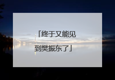 终于又能见到樊振东了
