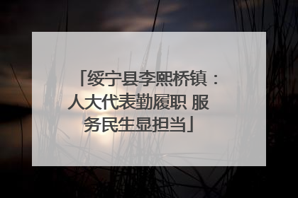 绥宁县李熙桥镇：人大代表勤履职 服务民生显担当