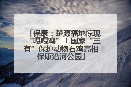 保康：楚源福地惊现“嘎嘎鸡”！国家“三有”保护动物石鸡亮相保康沿河公园