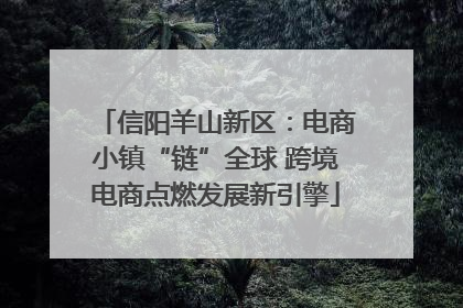 信阳羊山新区：电商小镇“链”全球 跨境电商点燃发展新引擎