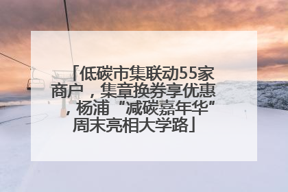 低碳市集联动55家商户，集章换券享优惠，杨浦“减碳嘉年华”周末亮相大学路