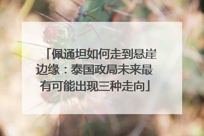 佩通坦如何走到悬崖边缘：泰国政局未来最有可能出现三种走向