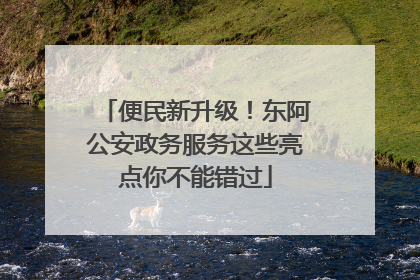便民新升级！东阿公安政务服务这些亮点你不能错过