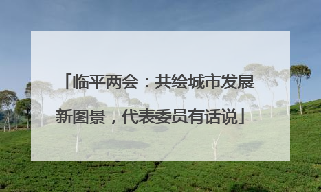 临平两会:共绘城市发展新图景,代表委员有话说