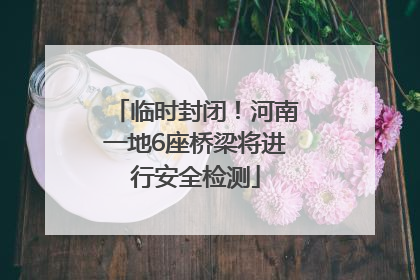 临时封闭！河南一地6座桥梁将进行安全检测