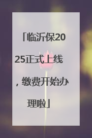 临沂保2025正式上线，缴费开始办理啦