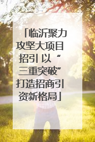 临沂聚力攻坚大项目招引 以“三重突破”打造招商引资新格局