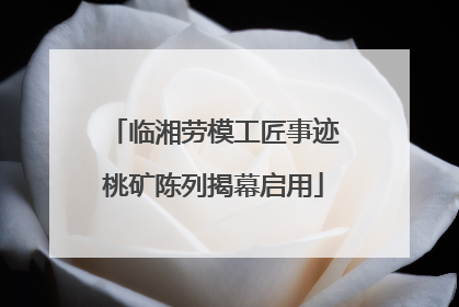 临湘劳模工匠事迹桃矿陈列揭幕启用