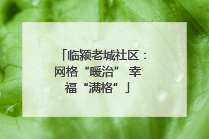 临颍老城社区：网格“暖治” 幸福“满格”