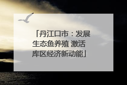 丹江口市：发展生态鱼养殖 激活库区经济新动能