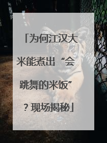 为何江汉大米能煮出“会跳舞的米饭”？现场揭秘