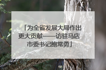 为全省发展大局作出更大贡献——访驻马店市委书记鲍常勇