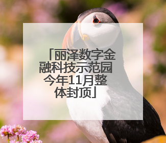 丽泽数字金融科技示范园今年11月整体封顶