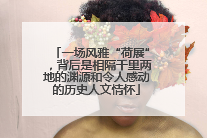 一场风雅“荷展”，背后是相隔千里两地的渊源和令人感动的历史人文情怀