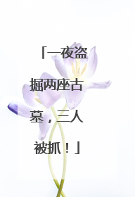 一夜盗掘两座古墓，三人被抓！