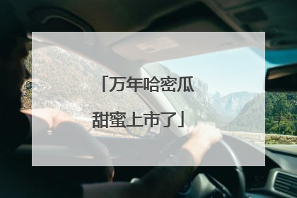 万年哈密瓜甜蜜上市了