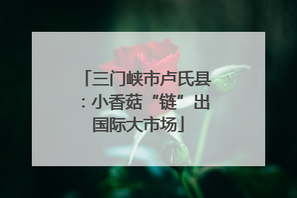 三门峡市卢氏县：小香菇“链”出国际大市场