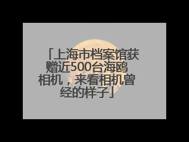 上海市档案馆获赠近500台海鸥相机，来看相机曾经的样子