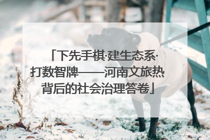 下先手棋·建生态系·打数智牌——河南文旅热背后的社会治理答卷