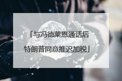 与冯德莱恩通话后 特朗普同意推迟加税