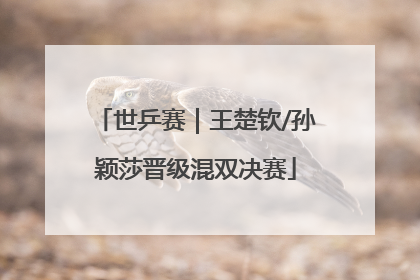 世乒赛｜王楚钦/孙颖莎晋级混双决赛