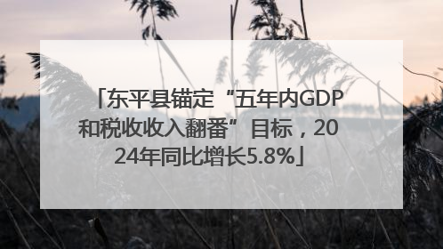 东平县锚定“五年内GDP和税收收入翻番”目标，2024年同比增长5.8%