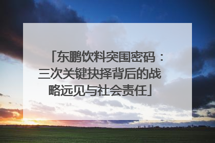 东鹏饮料突围密码：三次关键抉择背后的战略远见与社会责任
