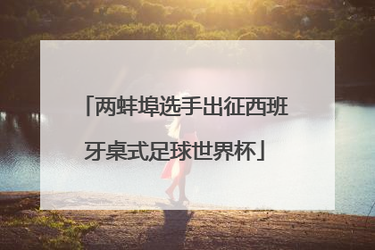 两蚌埠选手出征西班牙桌式足球世界杯
