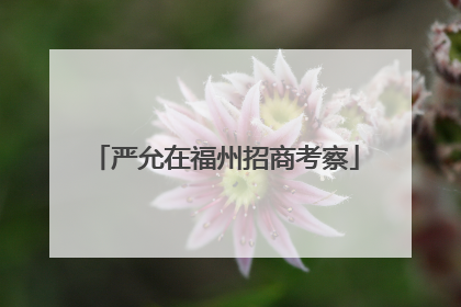 严允在福州招商考察