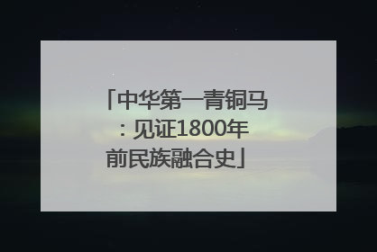 中华第一青铜马：见证1800年前民族融合史