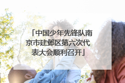 中国少年先锋队南京市建邺区第六次代表大会顺利召开
