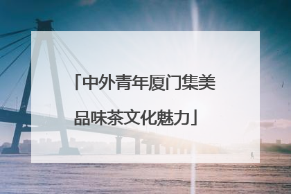 中外青年厦门集美品味茶文化魅力