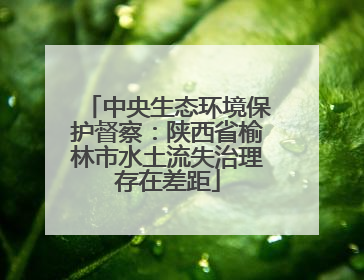 中央生态环境保护督察：陕西省榆林市水土流失治理存在差距
