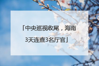 中央巡视收尾，海南3天连查3名厅官